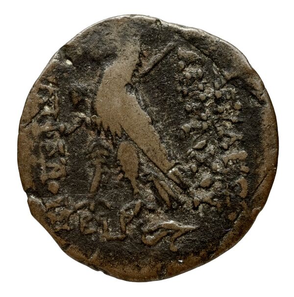реверс Seleucid Coins (part 2) 2300.1b