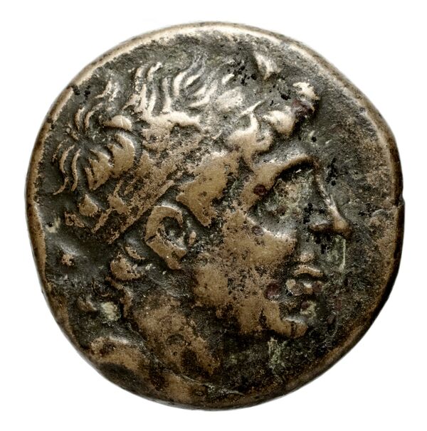 Seleucid Coins (part 1) 351.1, аверс, bnf-hrc