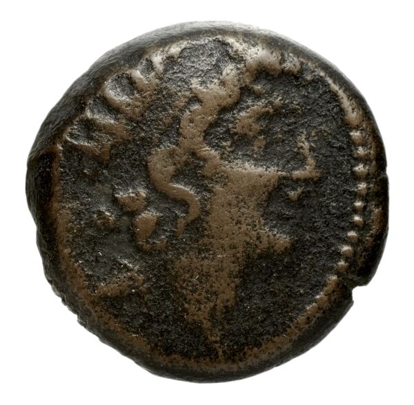 аверс Seleucid Coins (part 2) 2300.6