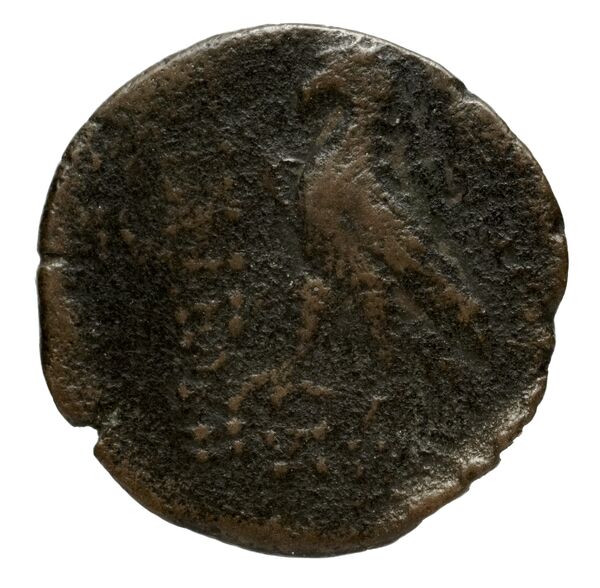 реверс Seleucid Coins (part 2) 2300.6