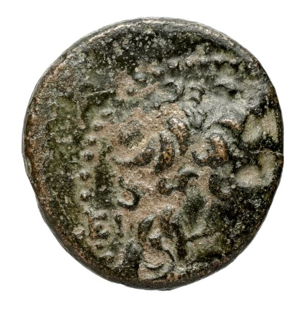 аверс Seleucid Coins (part 2) 2334