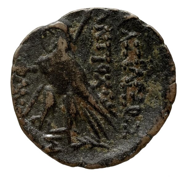 реверс Seleucid Coins (part 2) 2307.1b