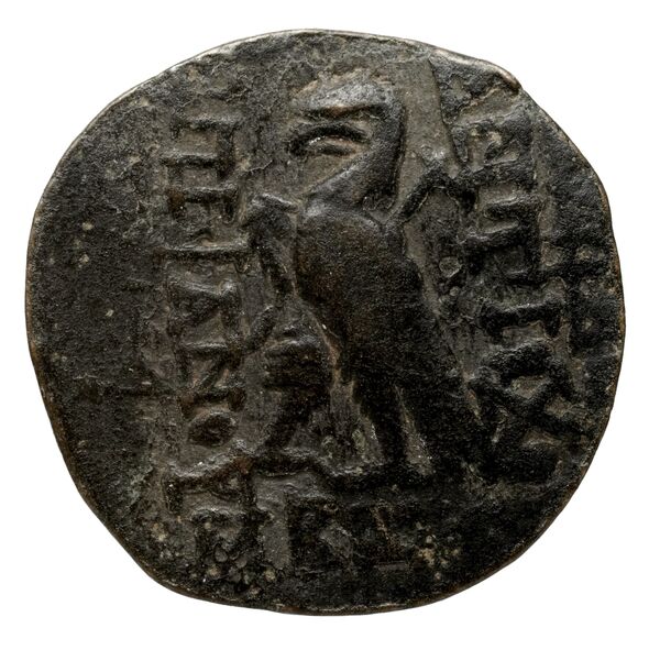 реверс Seleucid Coins (part 2) 2307.2a