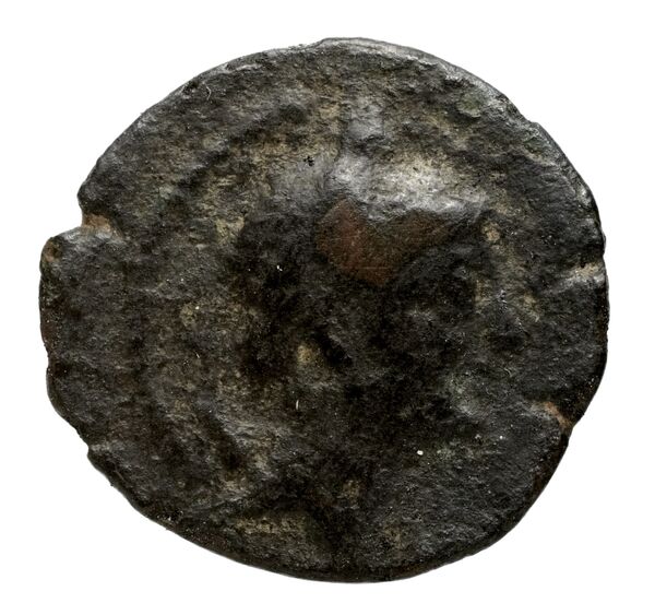 Seleucid Coins (part 2) 2301, аверс, bnf-hrc