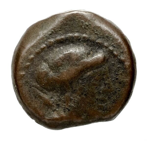 Seleucid Coins (part 2) 2301, аверс, bnf-hrc