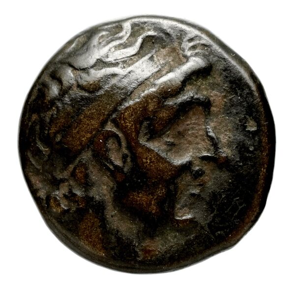 obverse Seleucid Coins (part 1) 351.1b