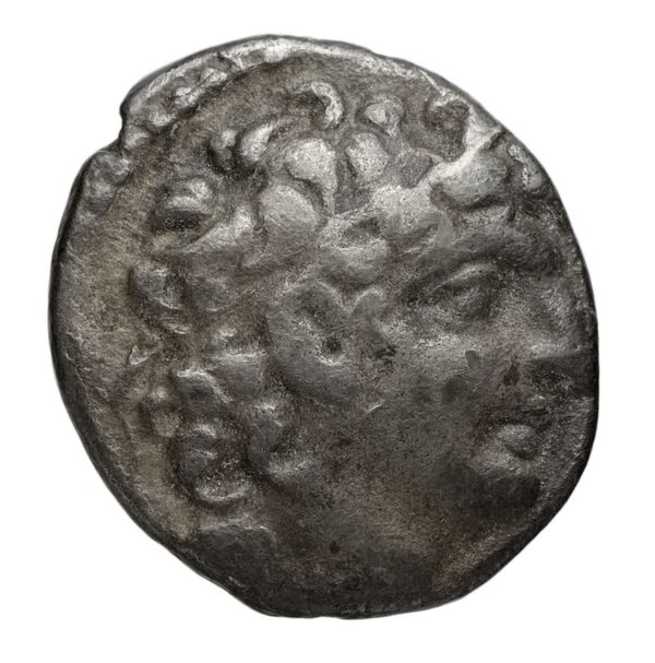 аверс Seleucid Coins (part 2) 2311