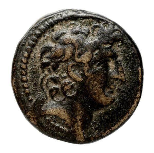 аверс Seleucid Coins (part 2) 2313.1a