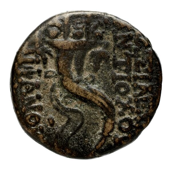 реверс Seleucid Coins (part 2) 2313.1a