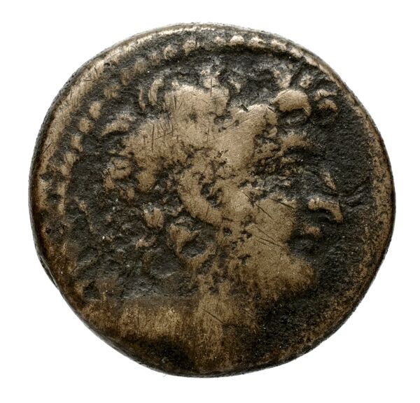 аверс Seleucid Coins (part 2) 2313.1e