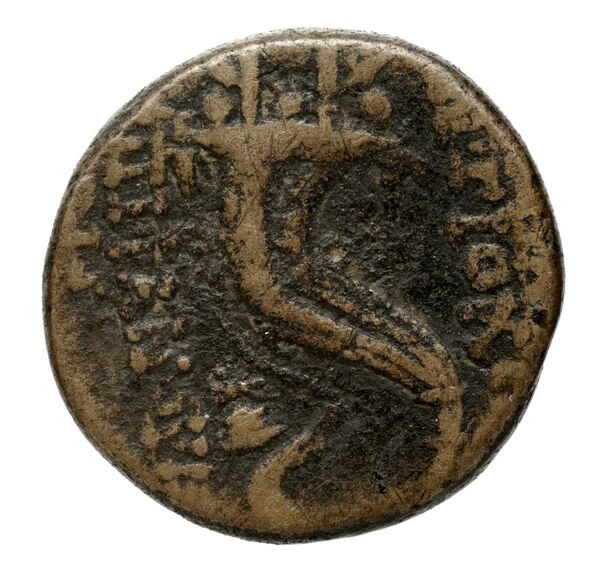 реверс Seleucid Coins (part 2) 2313.1e