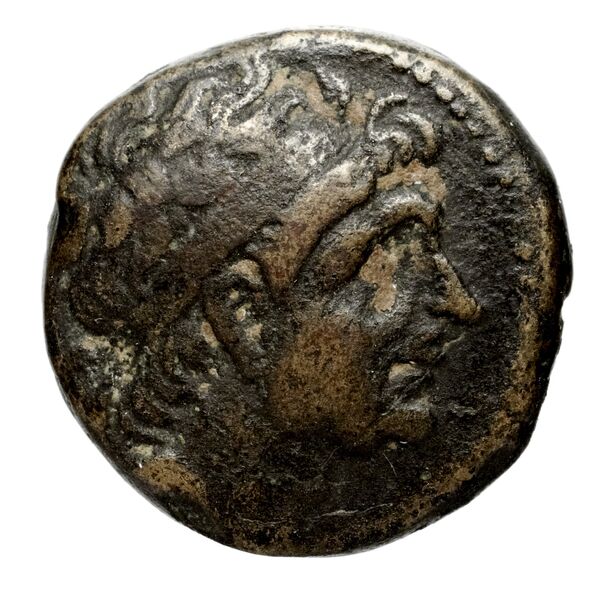 Seleucid Coins (part 1) 351.1a, аверс, bnf-hrc