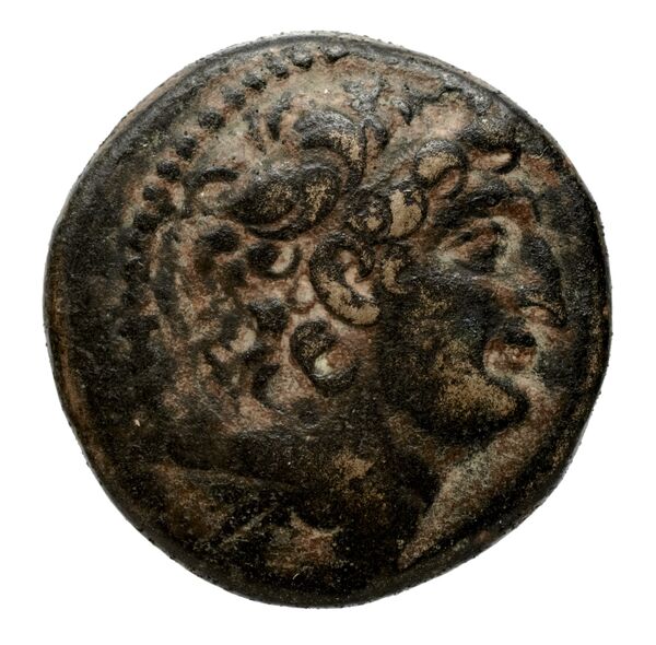 Seleucid Coins (part 2) 2313.1e, аверс, bnf-hrc