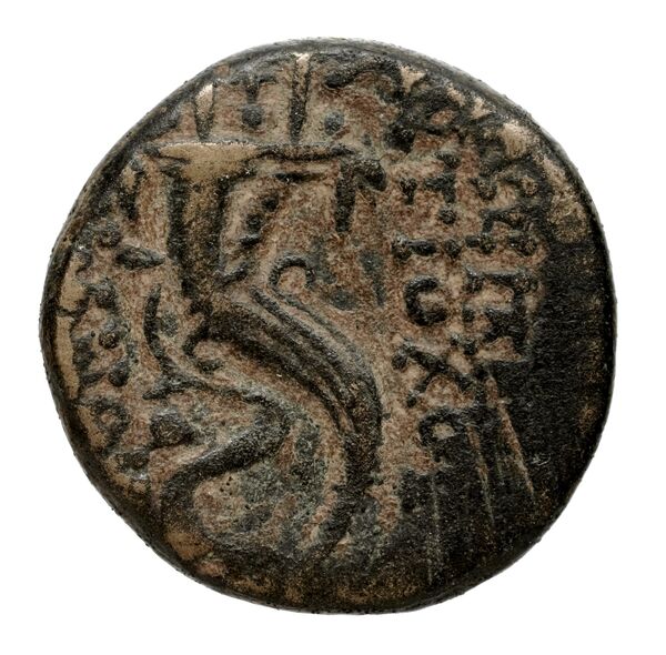 Seleucid Coins (part 2) 2313.1e, реверс, bnf-hrc