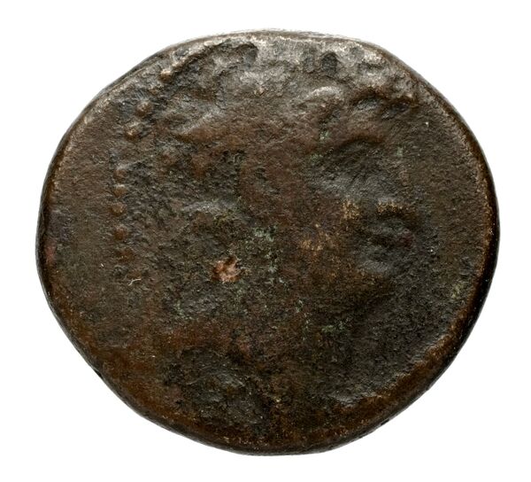 аверс Seleucid Coins (part 2) 2313.1f