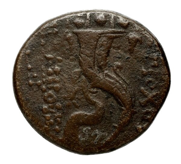 реверс Seleucid Coins (part 2) 2313.1f