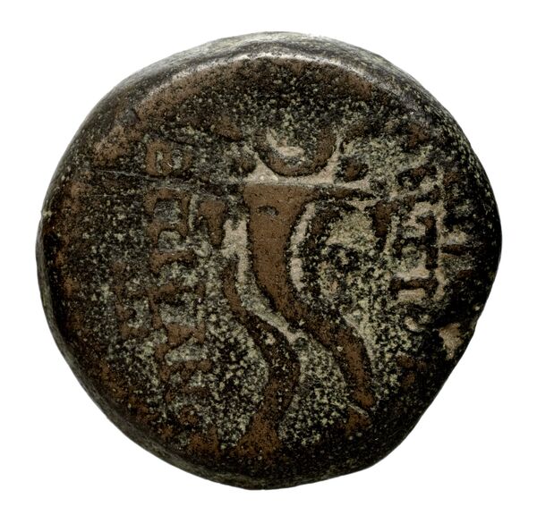 реверс Seleucid Coins (part 2) 2312