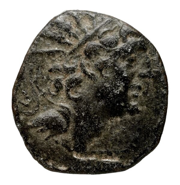 Seleucid Coins (part 2) 2317, аверс, bnf-hrc