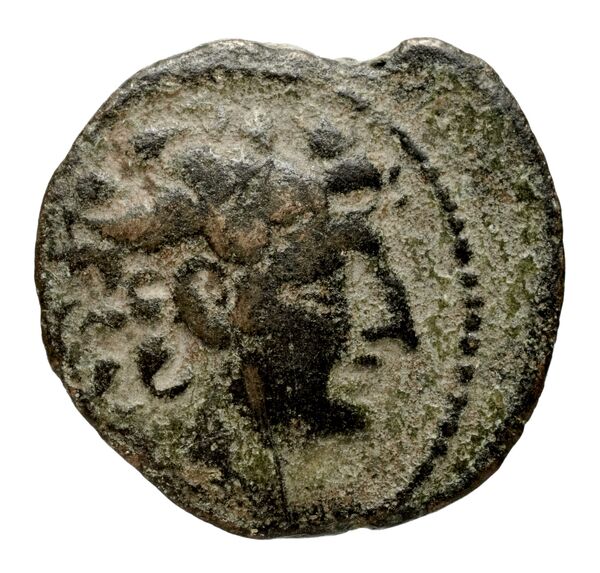 Seleucid Coins (part 2) 2318, аверс, bnf-hrc