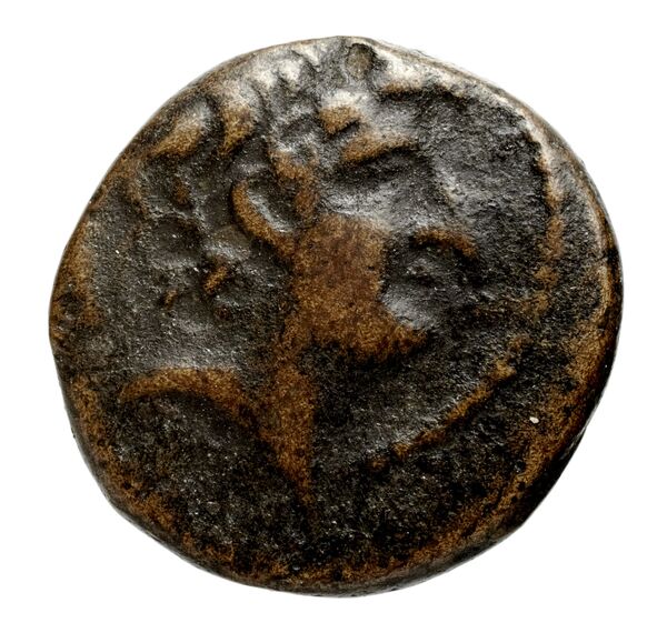 аверс Seleucid Coins (part 2) 2314