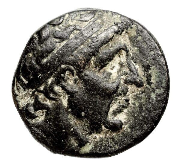 obverse Seleucid Coins (part 1) 351.1c