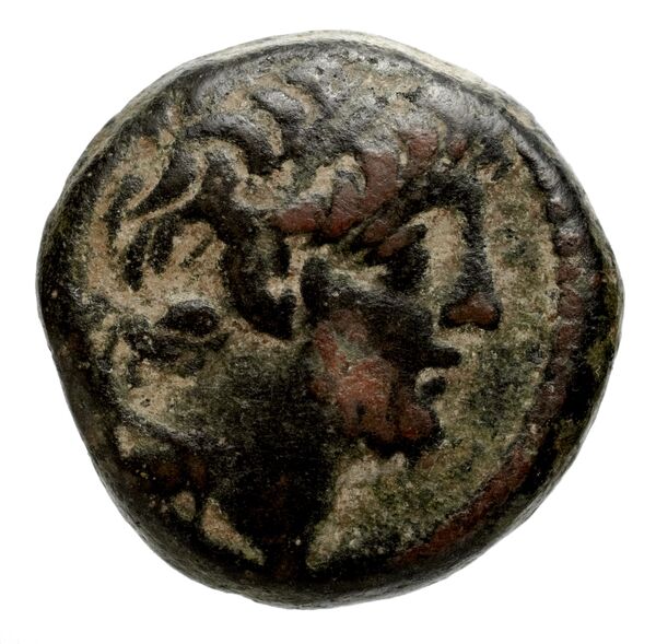 аверс Seleucid Coins (part 2) 2364.1e