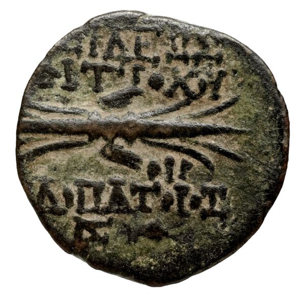 реверс Seleucid Coins (part 2) 2364.1e