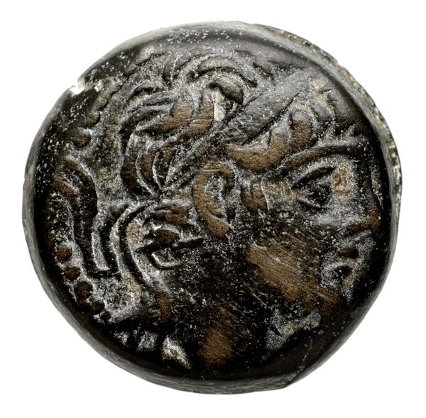 Seleucid Coins (part 2) 2364.1, аверс, bnf-hrc