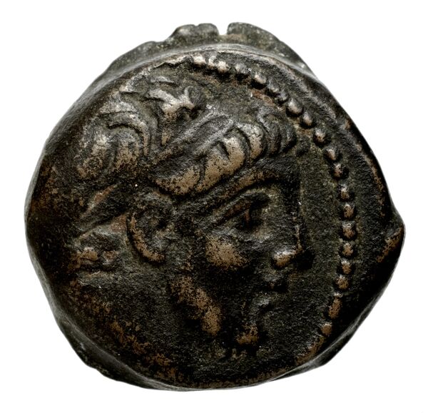 Seleucid Coins (part 2) 2364.1c, аверс, bnf-hrc