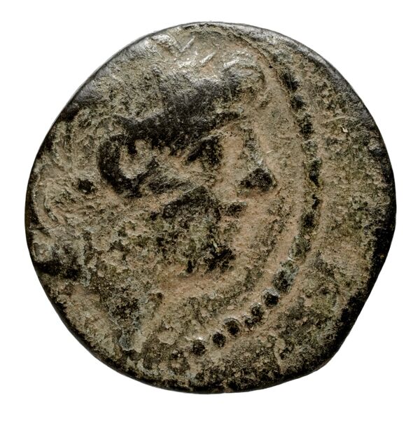 Seleucid Coins (part 2) 2364, аверс, bnf-hrc