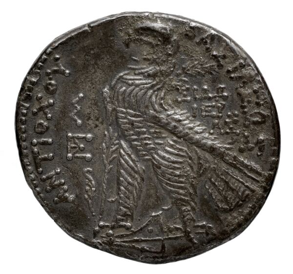 реверс Seleucid Coins (part 2) 2386