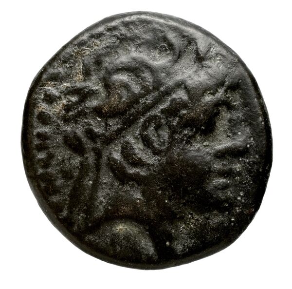 аверс Seleucid Coins (part 2) 2397.1