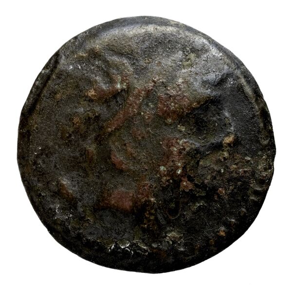 Seleucid Coins (part 2) 2397.1, аверс, bnf-hrc