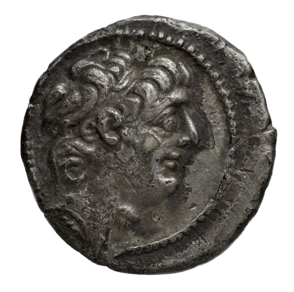 аверс Seleucid Coins (part 2) 2370
