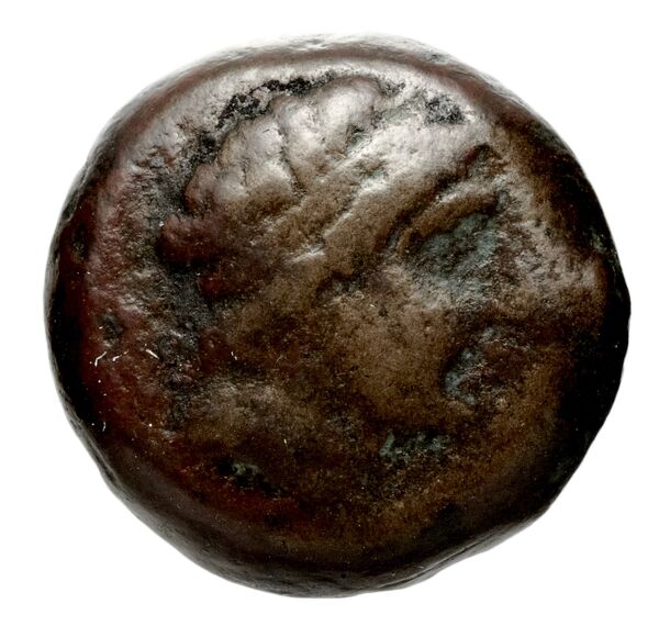 аверс Seleucid Coins (part 1) 420
