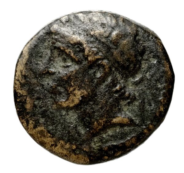 obverse Seleucid Coins (part 1) 352