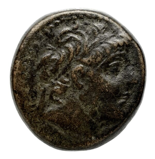 Seleucid Coins (part 2) 2352a, аверс, bnf-hrc