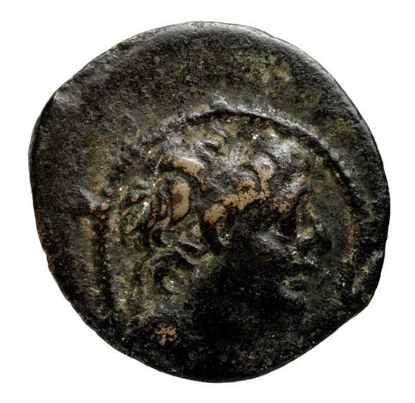 Seleucid Coins (part 2) 2373, аверс, bnf-hrc