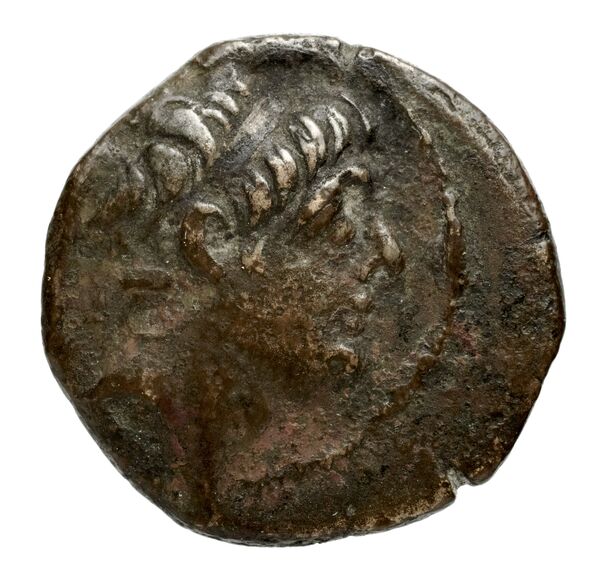 Seleucid Coins (part 2) 2373f, аверс, bnf-hrc