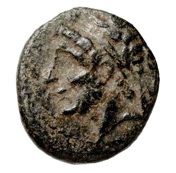 Seleucid Coins (part 1) 352, аверс, bnf-hrc