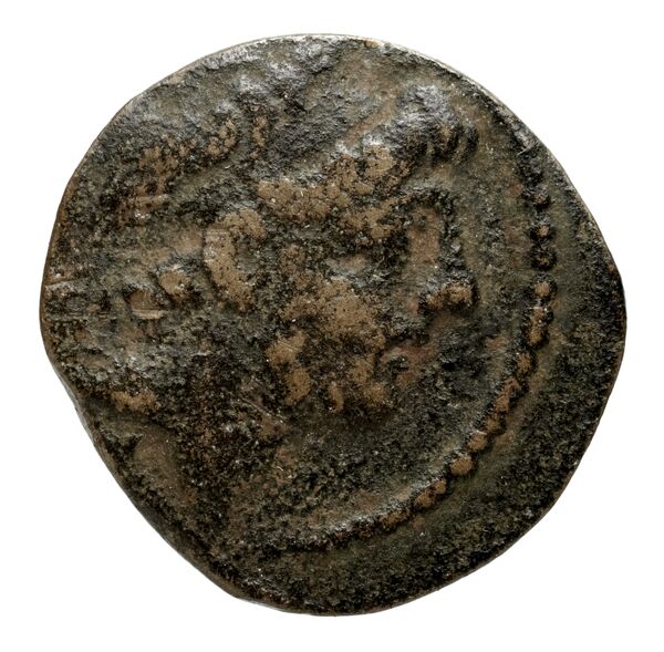 аверс Seleucid Coins (part 2) 2364.2b