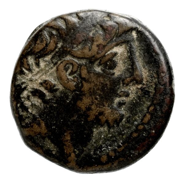 аверс Seleucid Coins (part 2) 2364.2c