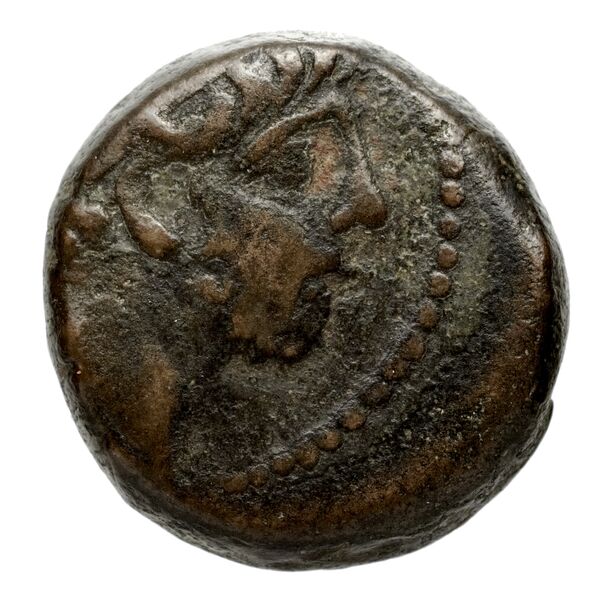 Seleucid Coins (part 2) 2364.2b, аверс, bnf-hrc