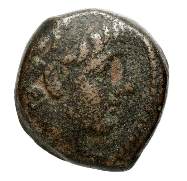 Seleucid Coins (part 2) 2364.2c, аверс, bnf-hrc