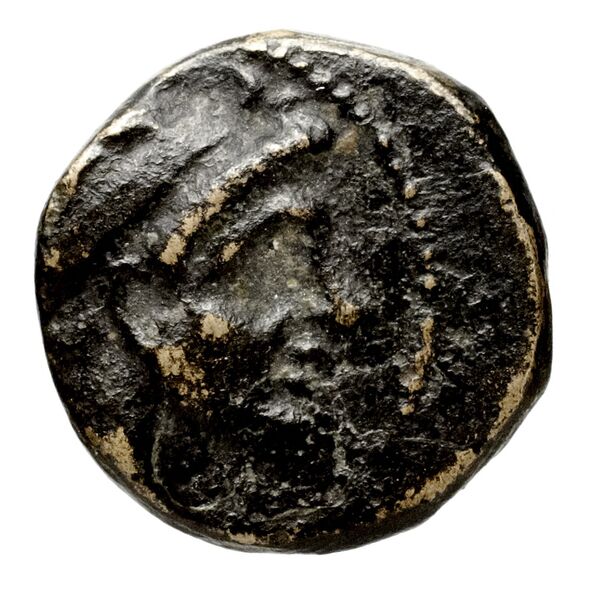 obverse Seleucid Coins (part 1) 353