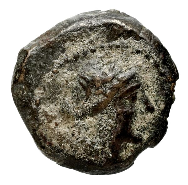 аверс Seleucid Coins (part 2) 2379