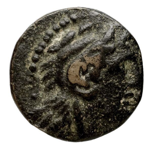 аверс Seleucid Coins (part 2) 2365