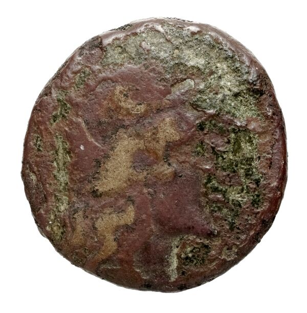 Seleucid Coins (part 2) 2378.1, аверс, bnf-hrc