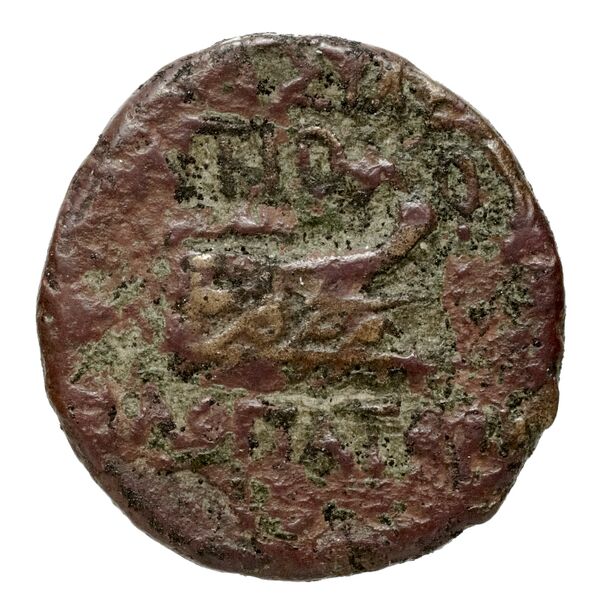 Seleucid Coins (part 2) 2378.1, реверс, bnf-hrc