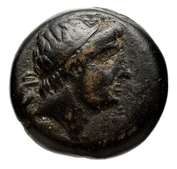 Seleucid Coins (part 1) 419, аверс, bnf-hrc
